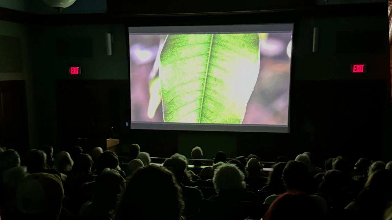 Untitled design (34)